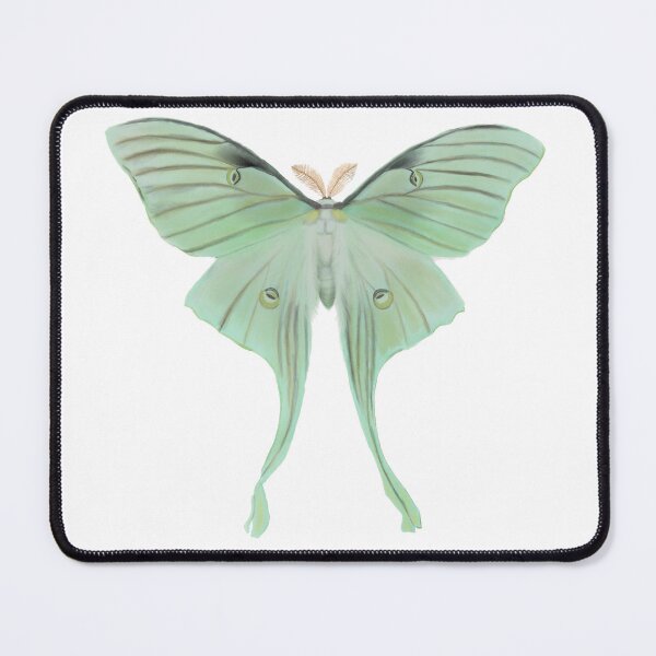 Item preview, Luna moth (light) designed and sold by ivndnl.