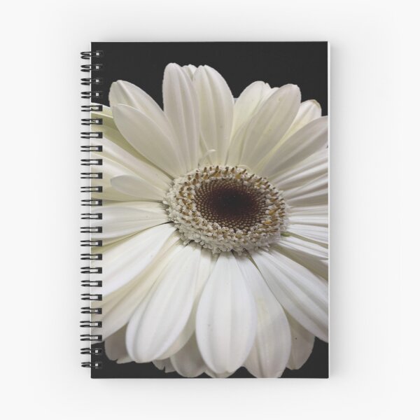 Item preview, WhiteGerbera designed and sold by Mandypoolicious.