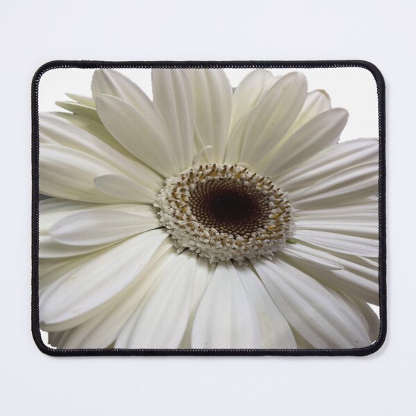Item preview, WhiteGerbera designed and sold by Mandypoolicious.