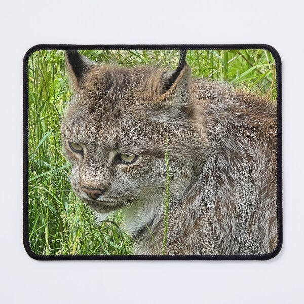 Item preview, It’s the ears for me designed and sold by CharlieFreds.