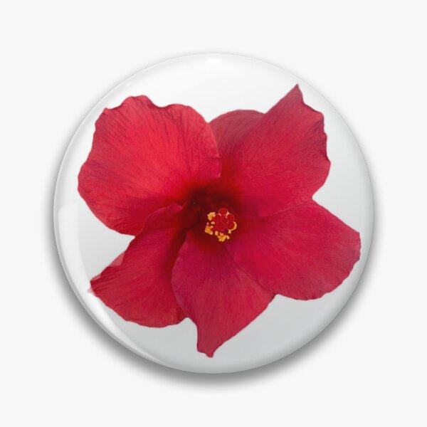 Item preview, First To Arrive Hibiscus Picture from my Garden in Hawaii designed and sold by afullerdesign.