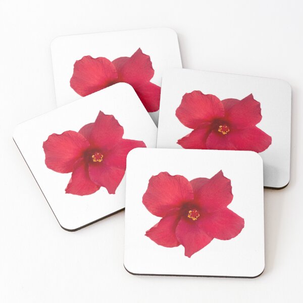 Item preview, First To Arrive Hibiscus Picture from my Garden in Hawaii designed and sold by afullerdesign.