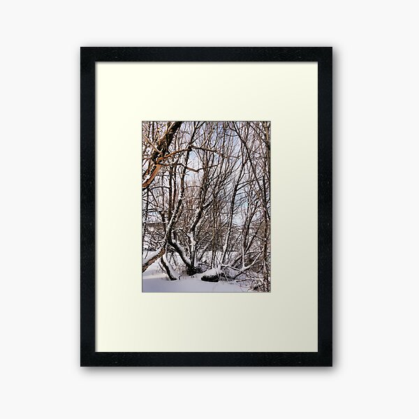 Item preview, Winter Branches designed and sold by Raquel O'Neill.