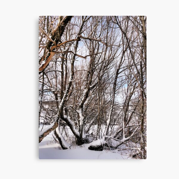 Item preview, Winter Branches designed and sold by Raquel O'Neill.