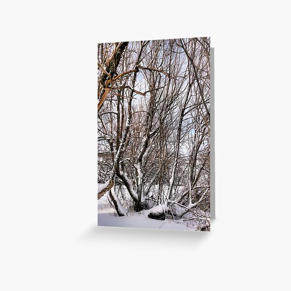 Item preview, Winter Branches designed and sold by Raquel O'Neill.