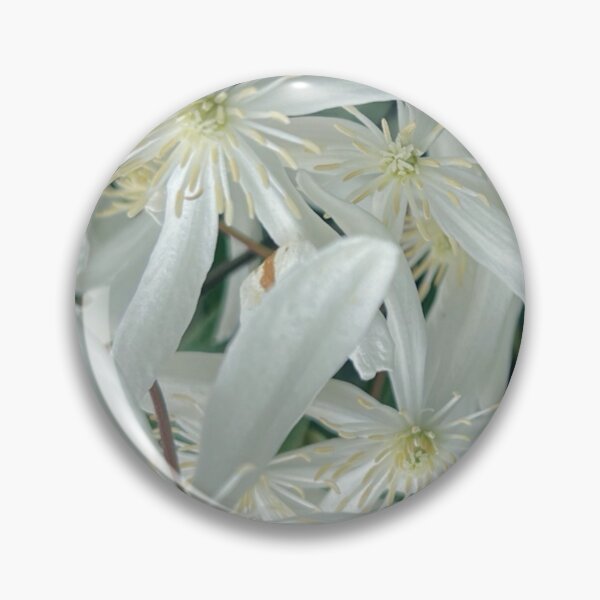 Item preview, Clamoring Clematis designed and sold by Photomersion.