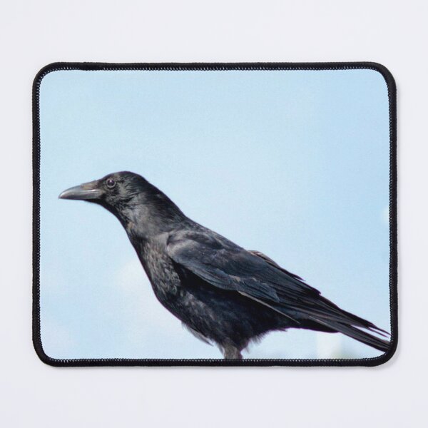 Item preview, crow designed and sold by Francespoppy.