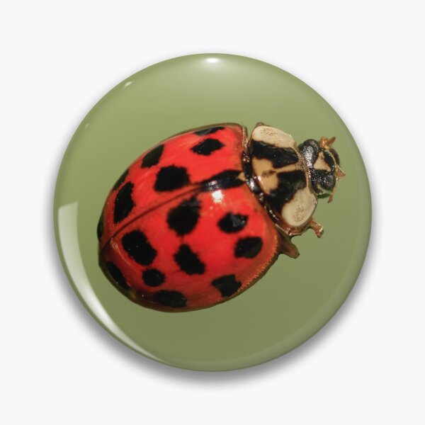 Item preview, Attractive Ladybugs designed and sold by RainbowSpinkle.