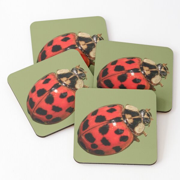 Item preview, Attractive Ladybugs designed and sold by RainbowSpinkle.