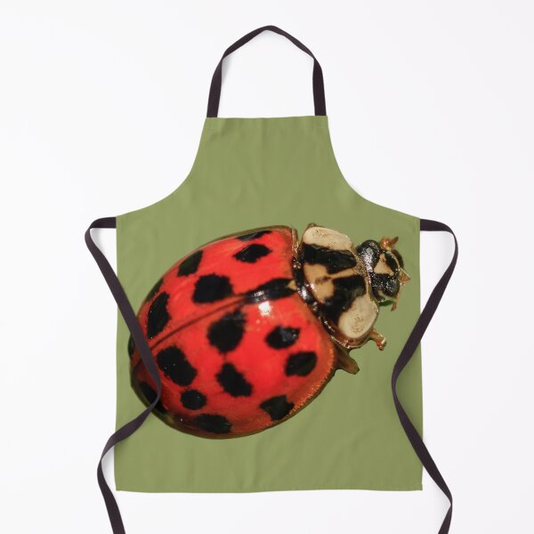 Item preview, Attractive Ladybugs designed and sold by RainbowSpinkle.