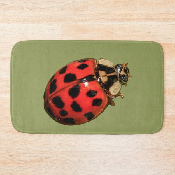 Item preview, Attractive Ladybugs designed and sold by RainbowSpinkle.
