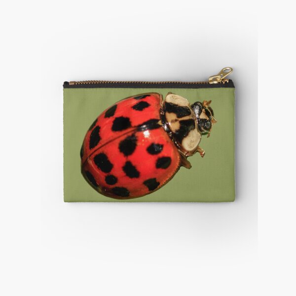 Item preview, Attractive Ladybugs designed and sold by RainbowSpinkle.