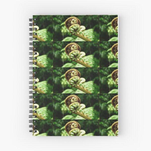 Item preview, Cyathea dealbata, Koru designed and sold by Merlinatia.