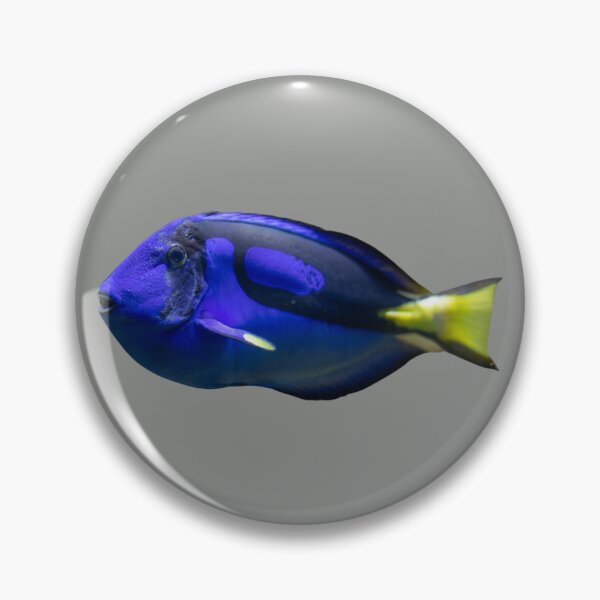 Item preview, Vibrant Blue Tang Fish designed and sold by RainbowSpinkle.