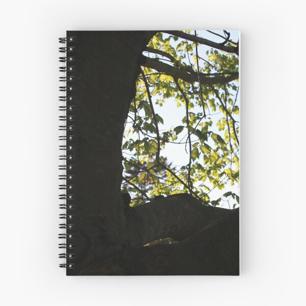 Artikelvorschau, Durch den dunklen Baum entworfen und verkauft von StudioJae.