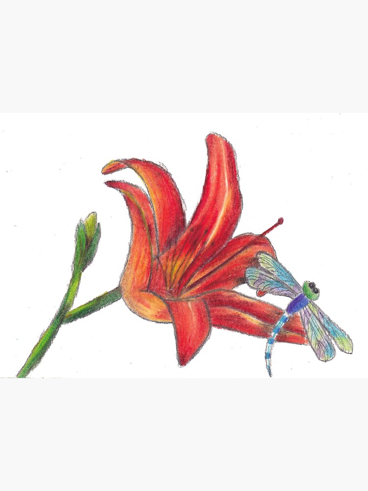 d-is-for-dragonfly-and-daylily-sticker-for-sale-by-kerrinbowen