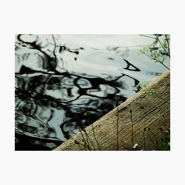 A Quiet Moment Photographic Print