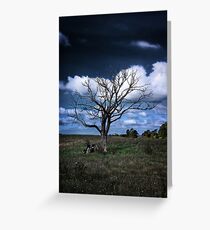 Shadow of the Day Greeting Card