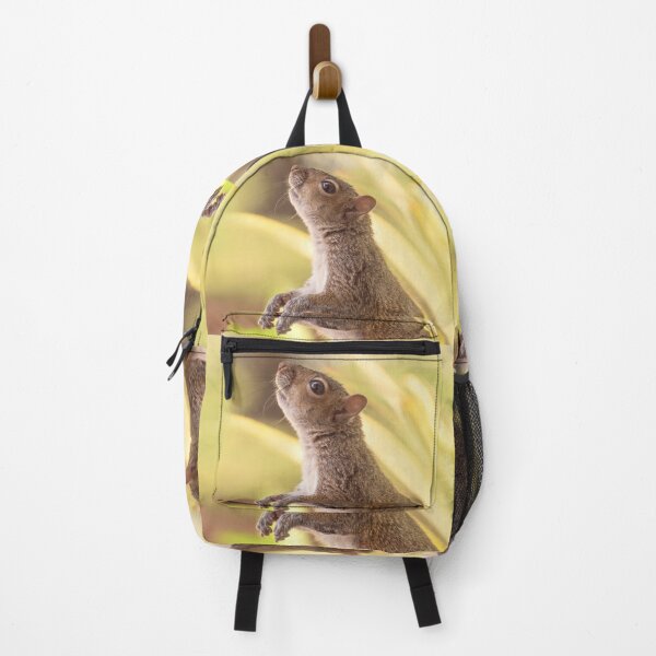 Item preview, Eastern gray squirrel standing and watching designed and sold by Zina Stromberg.