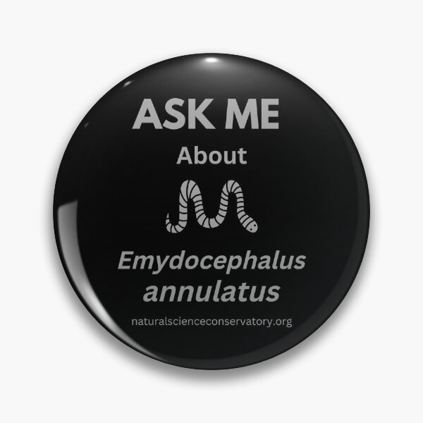 Item preview, Ask Me About Emydocephalus annulatus (Turtleheaded Sea Snake) designed and sold by Discovered.