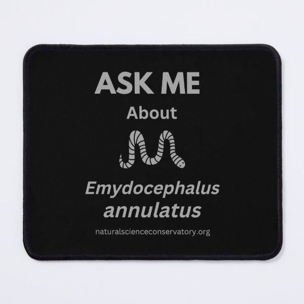Item preview, Ask Me About Emydocephalus annulatus (Turtleheaded Sea Snake) designed and sold by Discovered.