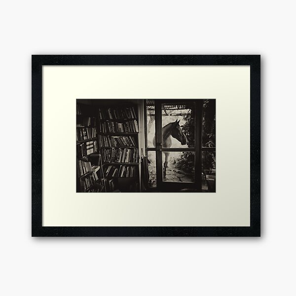 Visitor Framed Art Print