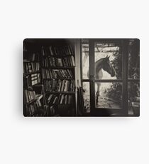 Visitor Metal Print