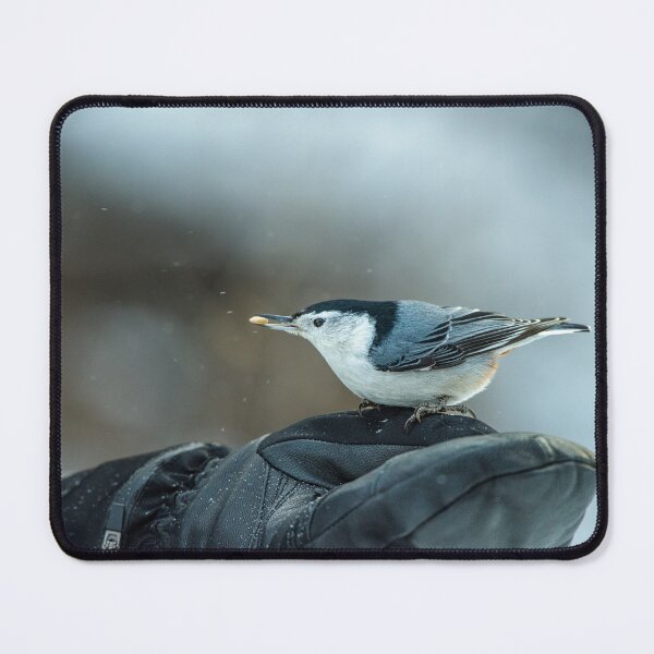 Item preview, White-breasted Nuthatch on the hand in winter forest designed and sold by Borinna.