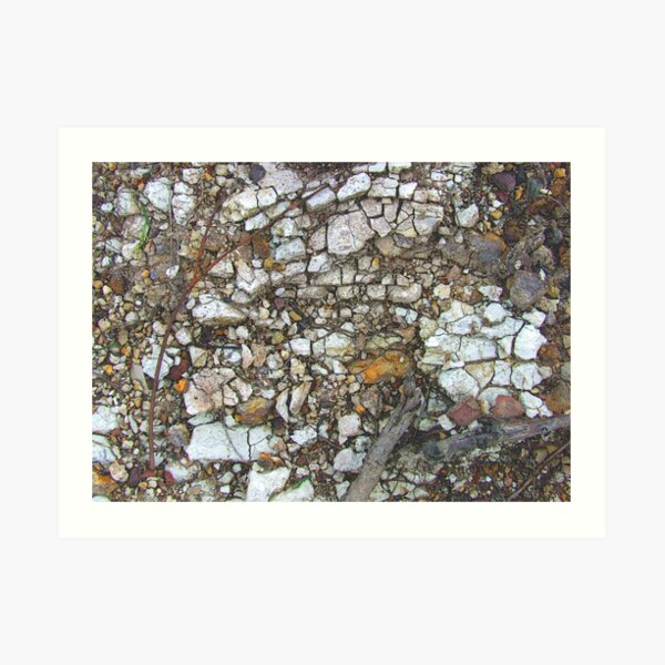 face in the rock Art Print