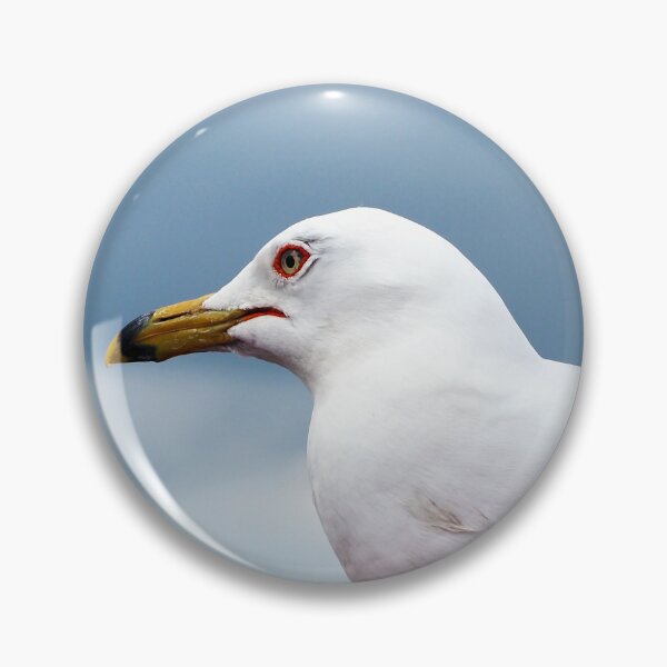 Artikelvorschau, Ein Up-Close-Foto einer Möwe entworfen und verkauft von BackyardBirder.