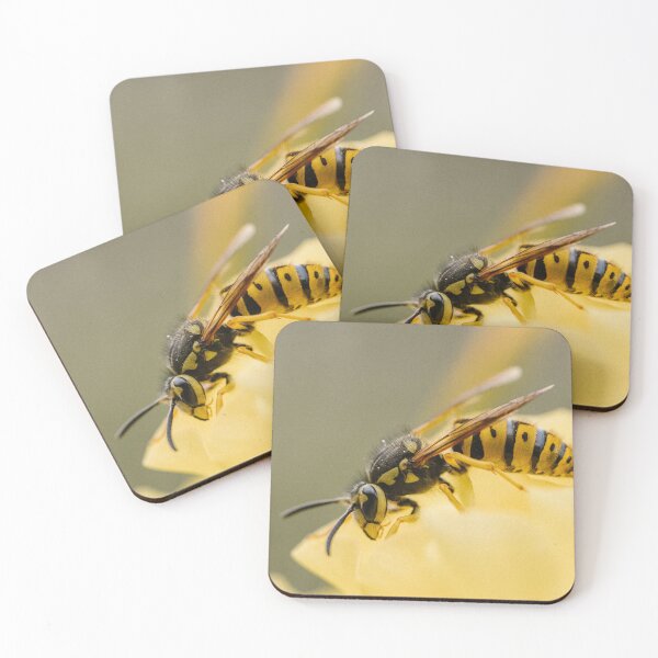 Item preview, Yellowjacket wasp (Vespula pensylvanica) designed and sold by LyfIsGrand.