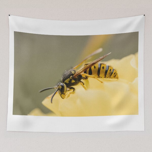 Item preview, Yellowjacket wasp (Vespula pensylvanica) designed and sold by LyfIsGrand.