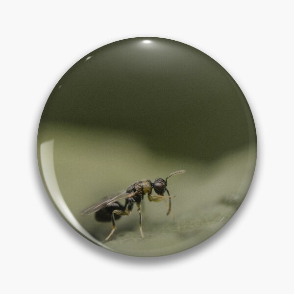 Item preview, Parasitoid wasp (Eurytomidae sp) designed and sold by LyfIsGrand.