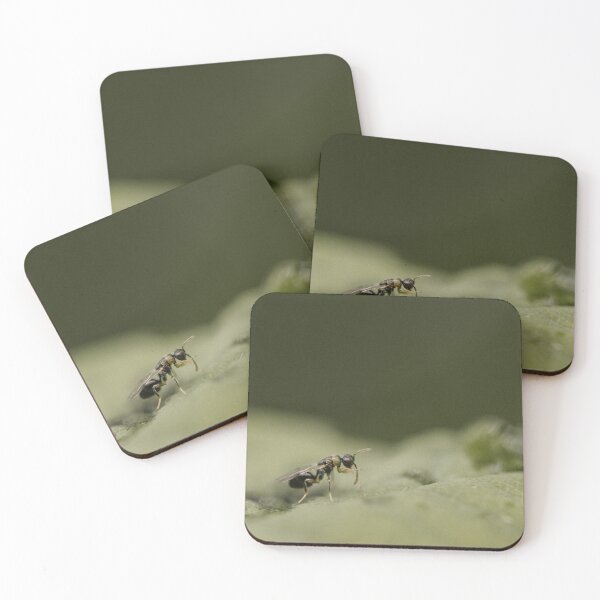 Item preview, Parasitoid wasp (Eurytomidae sp) designed and sold by LyfIsGrand.