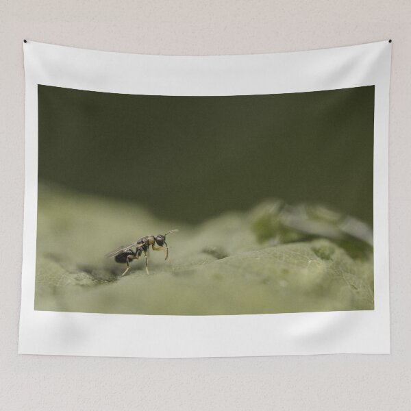 Item preview, Parasitoid wasp (Eurytomidae sp) designed and sold by LyfIsGrand.