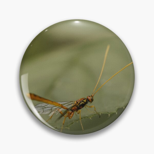 Item preview, Ichneumon wasp (Grotea californica)  designed and sold by LyfIsGrand.