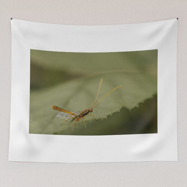 Item preview, Ichneumon wasp (Grotea californica)  designed and sold by LyfIsGrand.