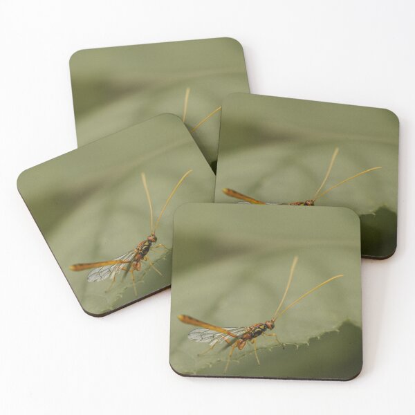 Item preview, Ichneumon wasp (Grotea californica)  designed and sold by LyfIsGrand.