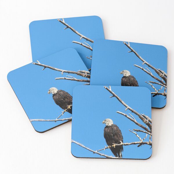 Item preview, Bald Eagle designed and sold by Alyce Taylor.