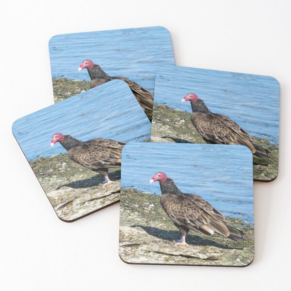 Item preview, Turkey Vulture Standing On A Beach designed and sold by BackyardBirder.