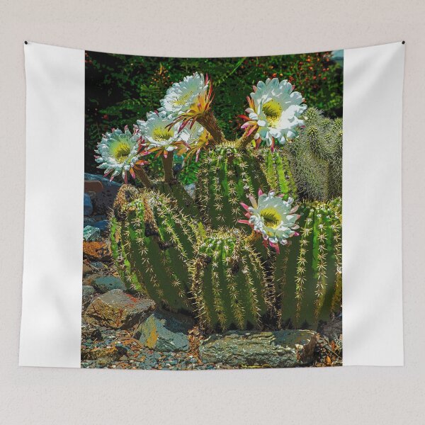 Item preview, Mini Barrel Cactus Blossoms, Las Cruces, NM designed and sold by William E Lopez.