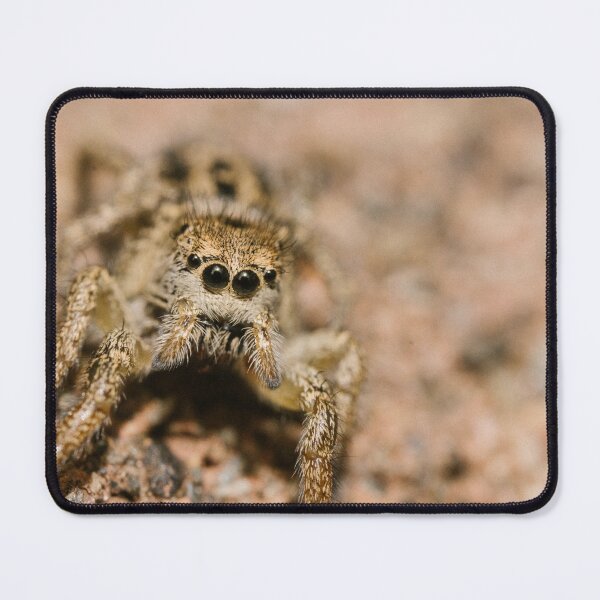Item preview, Jumping spider (Salticidae sp) designed and sold by LyfIsGrand.