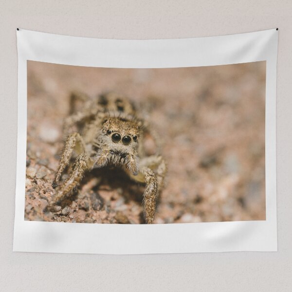 Item preview, Jumping spider (Salticidae sp) designed and sold by LyfIsGrand.
