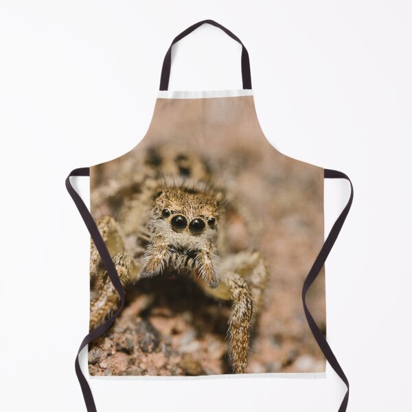 Item preview, Jumping spider (Salticidae sp) designed and sold by LyfIsGrand.