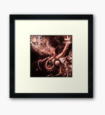 TIME AERIALS Squamafly Red Framed Print