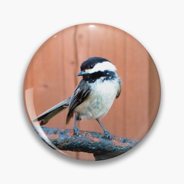 Item preview, Black-capped Chickadee Standing On A Wheel designed and sold by BackyardBirder.