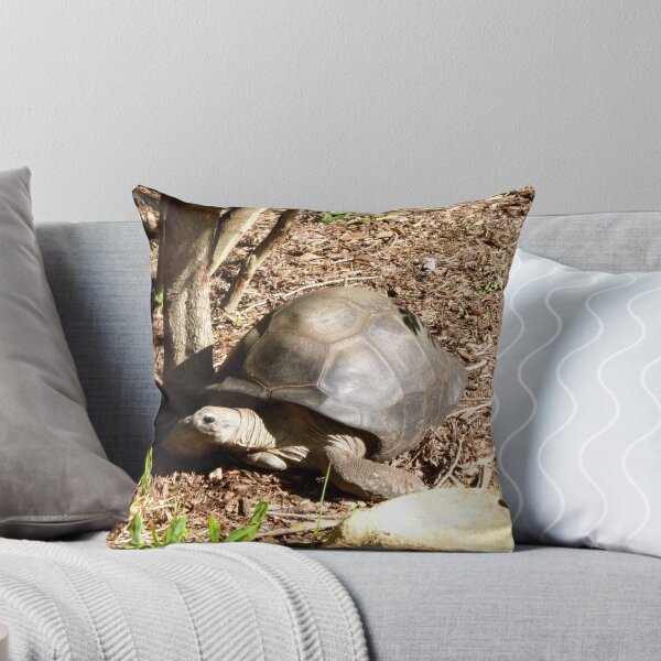 Item preview, Giant Tortoise designed and sold by Moonshine Paradise.