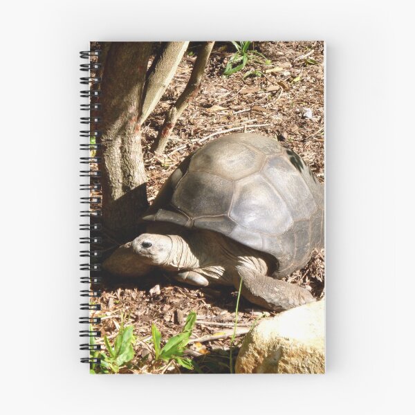 Item preview, Giant Tortoise designed and sold by Moonshine Paradise.