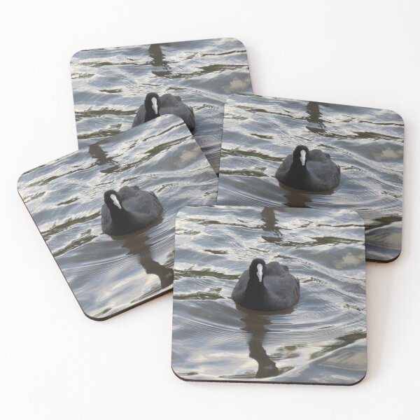 Item preview, Australian Coot #2 designed and sold by Moonshine Paradise.