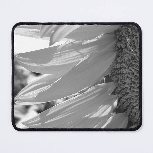 Item preview, Black And White Sunflower Exotic Chic Close-Up designed and sold by DEC02.